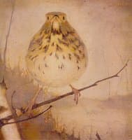 Thrush on a Branch