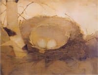 Bird's nest in birch trunk