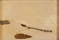 Twig