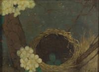 Nest with Eggs