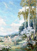 Nymphs-in-Clouds