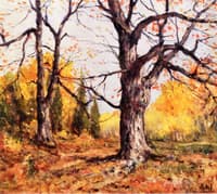 Late Autumn