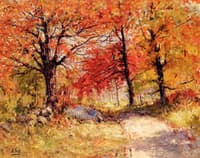 Autumn Woods