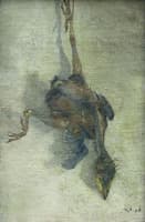 Dead Bird