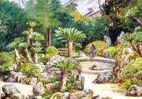 Garden of the Nishihongwange Temple, Kioto, Japan