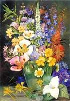 Group of Californian Wild Flowers