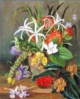 Group of Cultivated Flowers