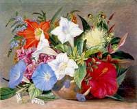 Group of Flowers, Wild and Cultivated, in Jamaica