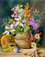 Meadow Flowers of Brazil, Golden Banana and Euemba's (Crotophaga major) Egg