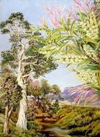Illawarra, New South Wales