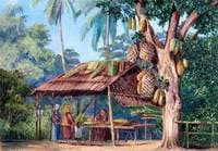 Jack Fruit Tree Shop, Malang, Java