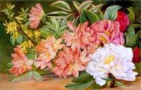 Japanese Flowers