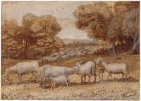 Landscape with Sheep