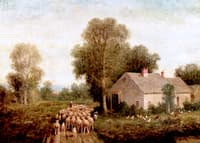 Farmhouse with Sheep and Chickens
