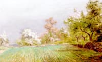 Spring Landscape