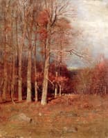 Trees in Autumn