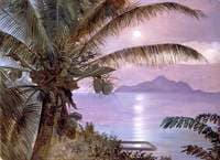 Moon Reflected in a Turtle Pool, Seychelles