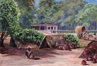 Native Huts near Tanpori, India