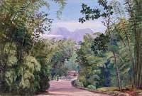 Near Malang, Java