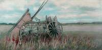 The Cornfield
