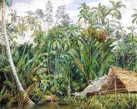 Old Boat-House and Riverside Vegetation, Sarawak, Borneo