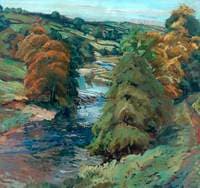 Near Barden Bridge