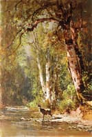 Deer by a Stream