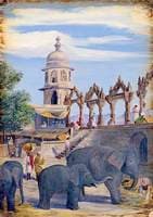 Palace Yard and Female Elephant and Child, Udaipur, India