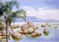 Palm Trees and Boulders in the Bay of Rio, Brazil