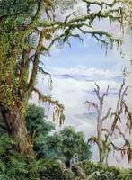 Panch Choola from Binsur, with Oak Trees and Grey Apes in the Foreground