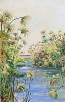 Papyrus along the River Margins
