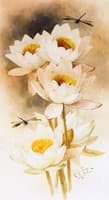 California Poppies and Dragonflies