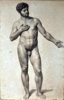 Male Nude