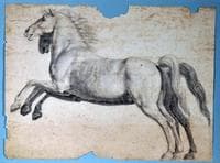 Horses