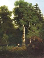 Wooded landscape with stream