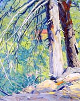 Near Lake Arrowhead (San Bernardino Mountains)