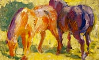 Small Horse Picture