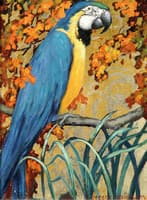 Blue Macaw