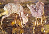 Deer at Dusk