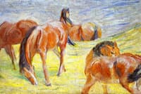 Grazing Horses