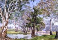 Plant and Animal Life at Mudgee, New South Wales