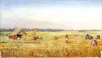 Rice Harvest near Bandong, Java