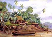 River Scene at Sarawak, Borneo, when the Tide is Getting Low