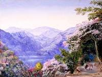 Road up to Nainee Tal, India, in Spring Time