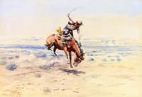 Bucking Bronc