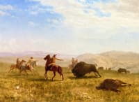The Wild West