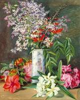 Selection of Cultivated Flowers, Painted in Jamaica