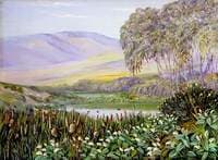 Social Birds and Social Herbs at Malmesbury, South Africa