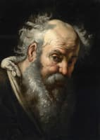 Study of a Bearded Man