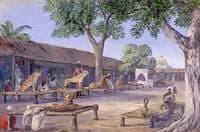 Street of Hunting Cheetahs and Lynx. Ulwar. India 1878
